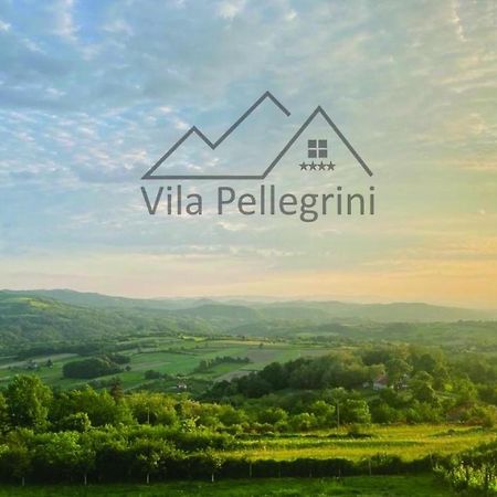 Vila Pellegrini Arandelovac Exterior photo