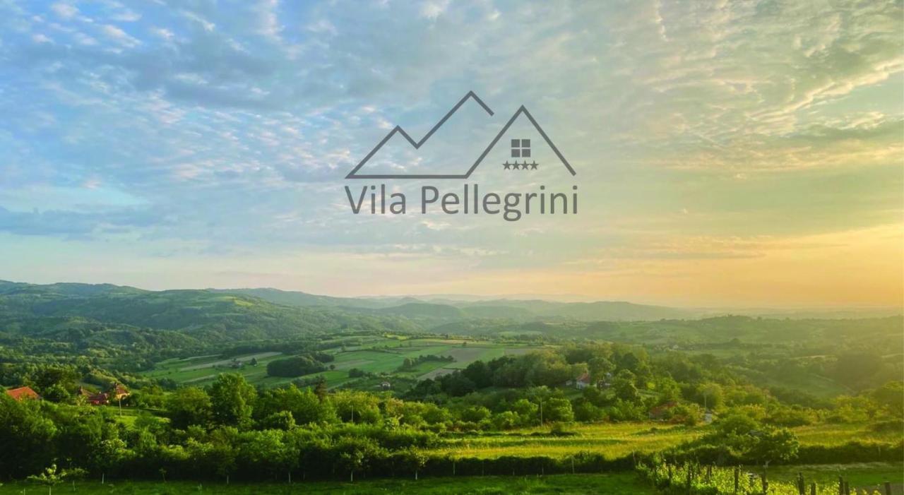 Vila Pellegrini Arandelovac Exterior photo