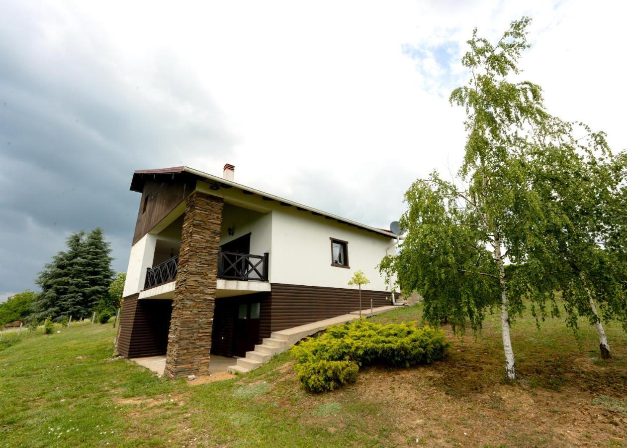 Vila Pellegrini Arandelovac Exterior photo
